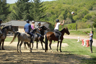 French Riding Holidays offer the very best in riding holidays in France, horse riding in France and activity holidays in France